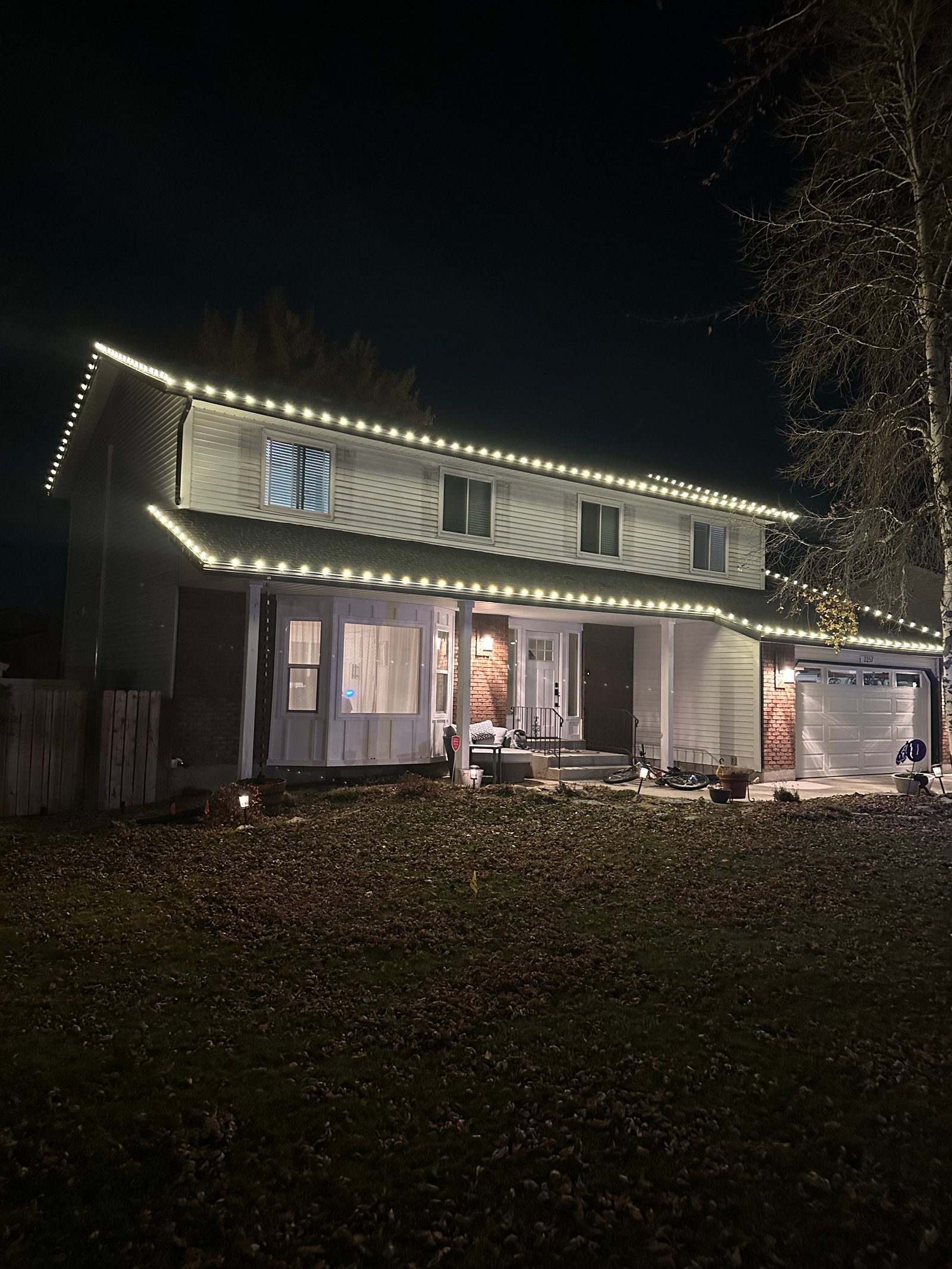 Holiday light display